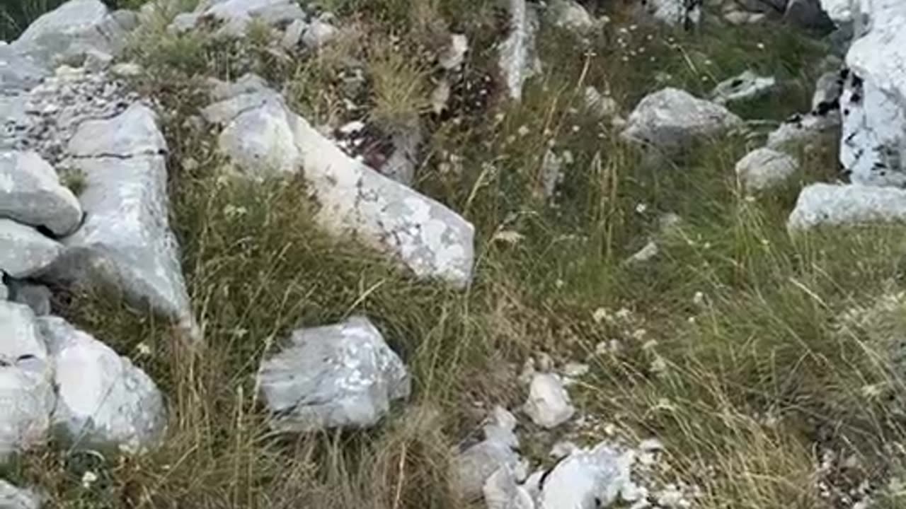🔴 Alberto Bagnai Live (19.08.2025)