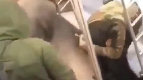 Blacks kick White man to death