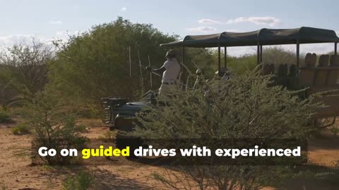 Discover the Top 10 Wonders of South Africa