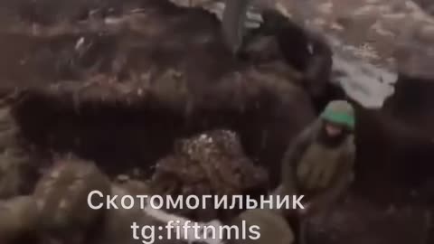 War in ukraine