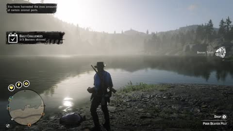 RDO * Daily Challenge ~ 3 Beavers Skinned - Legendary Zizi Beaver - Owanjila