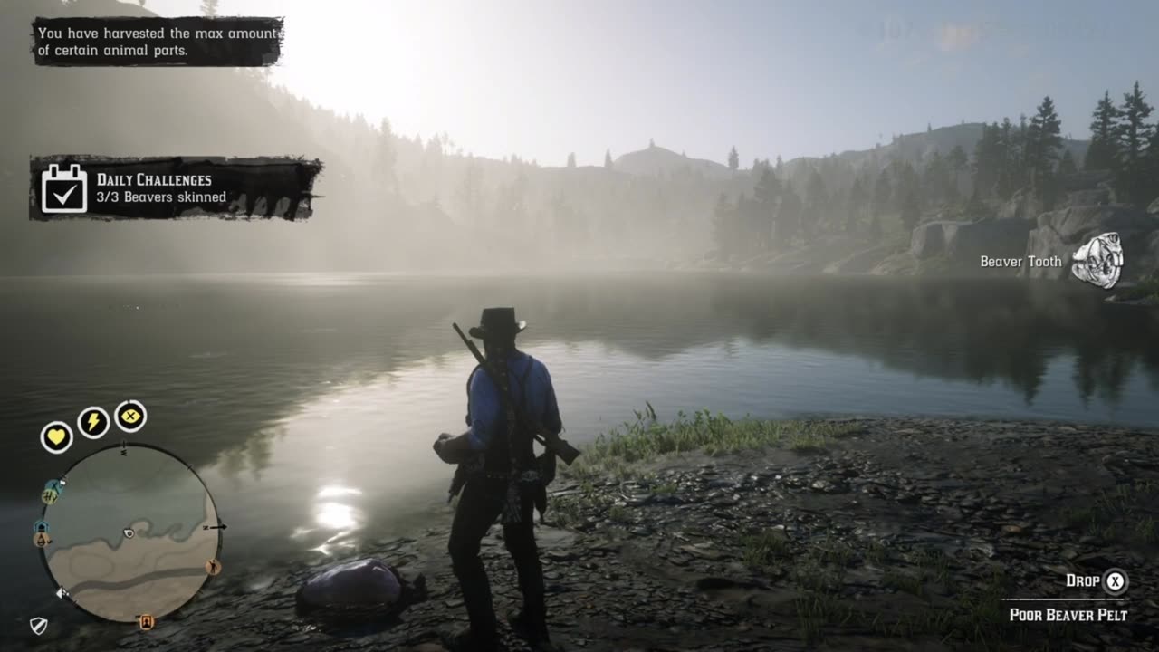 RDO * Daily Challenge ~ 3 Beavers Skinned - Legendary Zizi Beaver - Owanjila