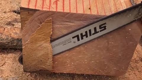 Sabias esto? #woodwork #wood #woodworking #stihl #woodworker