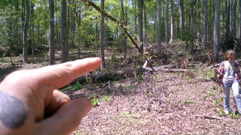 Catapult!!