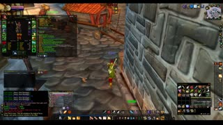 Turtle wow - The new server Ambershire - Paladin POV - Lakeshire part 2