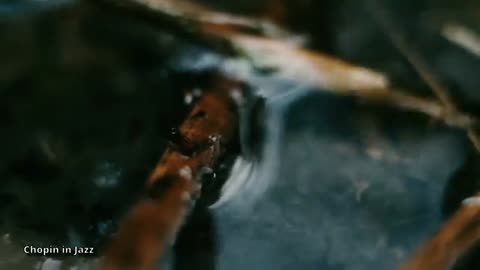 VK Chopin in Jazz – Relaxing Piano Jazz Renditions