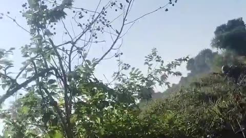 💥🛸 Myanmar War | Joint Forces Strike Junta Convoy | RCF