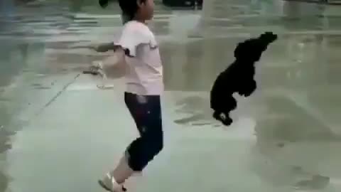 Fun Animals