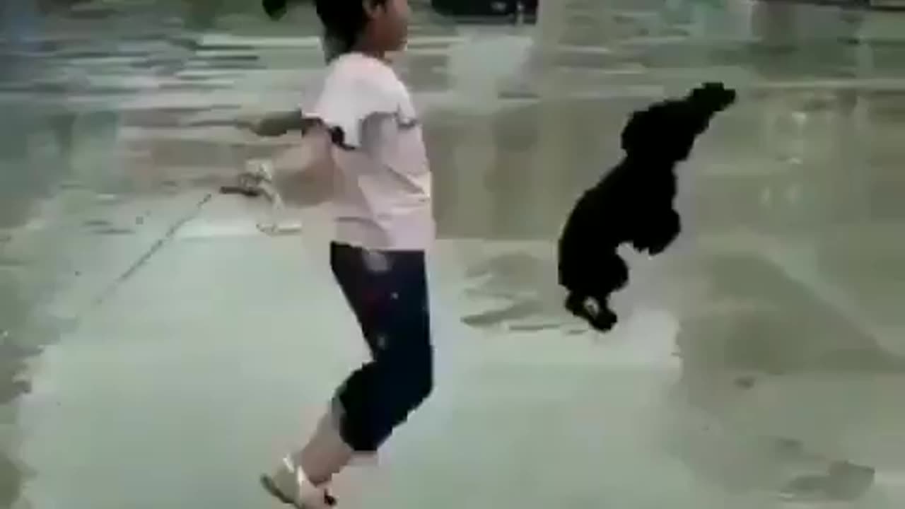 Fun Animals