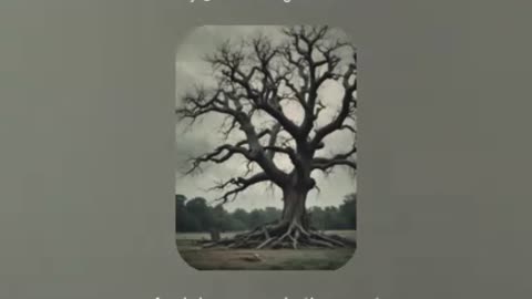 Rotting Psalms
