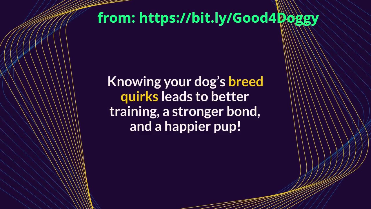 Shocking Facts About Popular Dog Breeds That Will Blow Your Mind