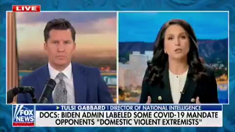 Tulsi Gabbard just dropped a bombshell...