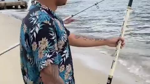 Hhh