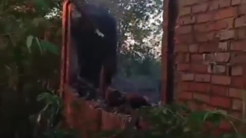 🔥🏥 Ukraine Russia War | Ukrainian Strike Destroys Russian Military Medical Facility with Star… | RCF