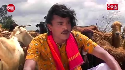 Chhi Chhi Chhi Re Nani - Satya Adhikari | Viral Video