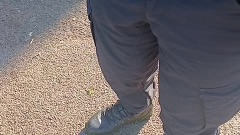 Cops animals dogs d3ceased shit & piss