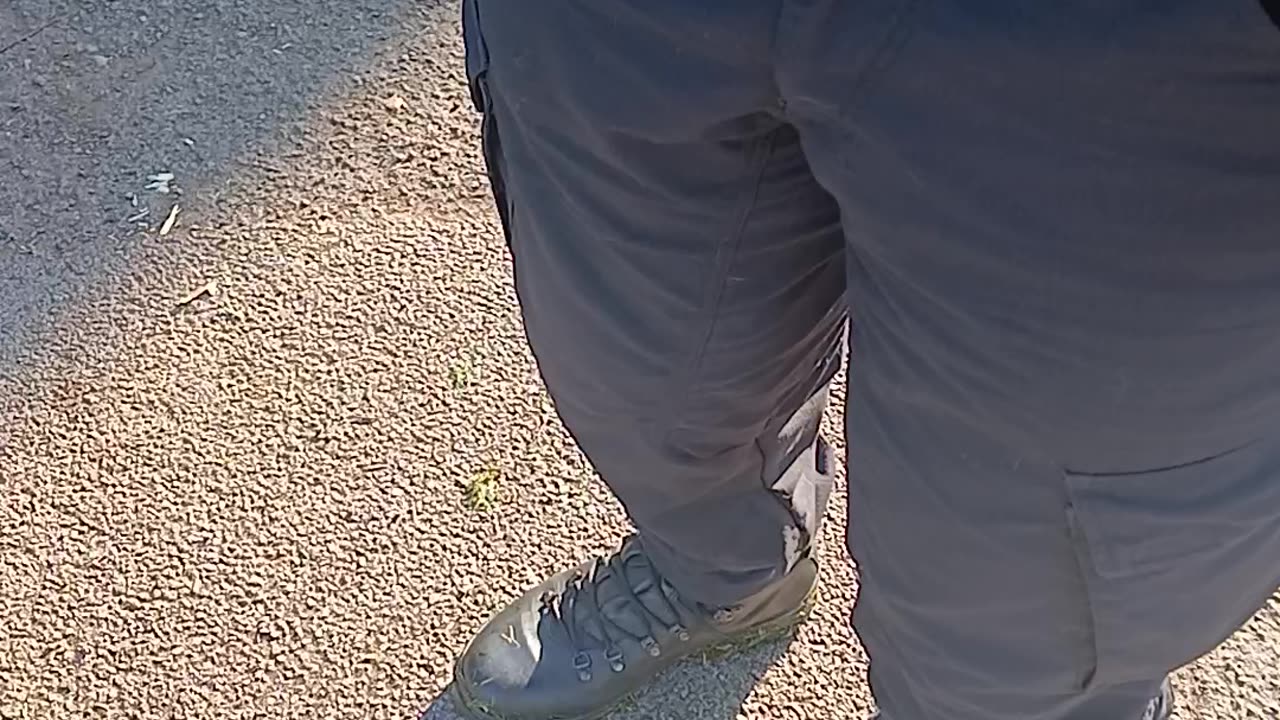 Cops animals dogs d3ceased shit & piss