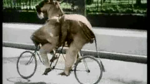 laurel and hardy - spying man