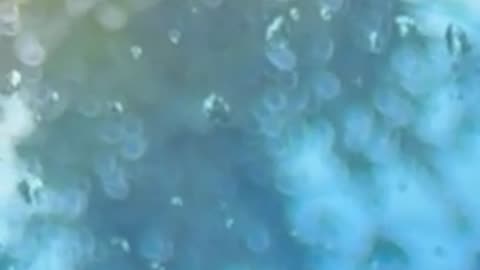🤯👽 This Audio of a Strange Encounter Will Freak You Out! | FunFM