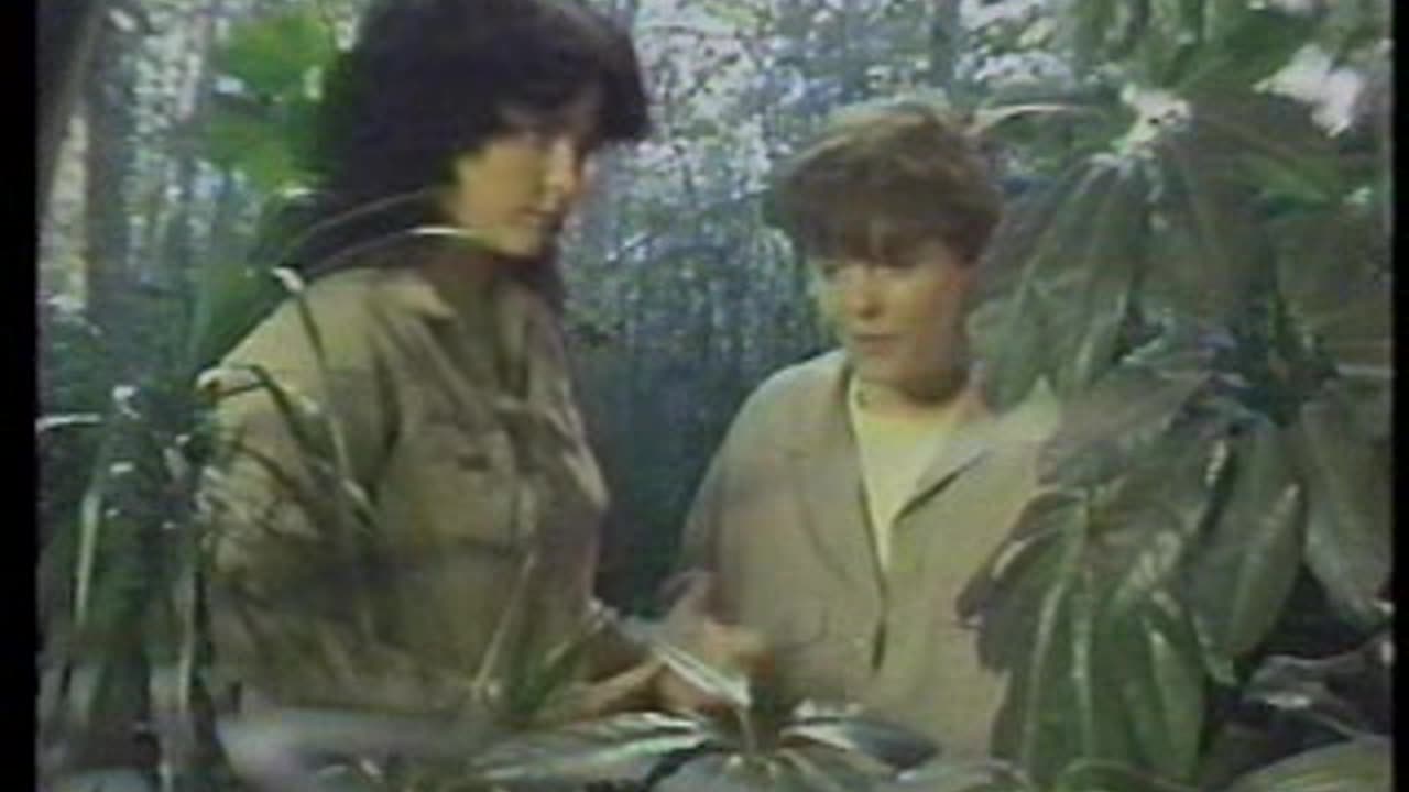 You Can't Do That On Television - S1984 E61 - Literature