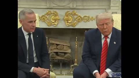 Liberals’ elbow up electoral campaign presenting Carney as the tough guy
