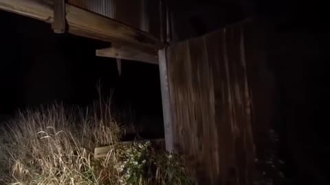 😨💥 Poltergeist Caught Throwing Objects in Kitchen! Scary Comp.13 | TheHauntingHour