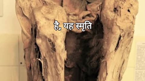एशिया में दुनिया की सबसे पुरानी ममी मिली - 14,000 साल पुरानी!