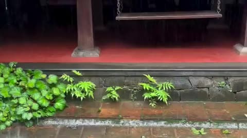 🤯✨ Inside Traditional Homes in Rural South India! | FeedMyCuriosity