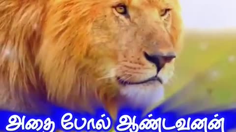 Thanmanam