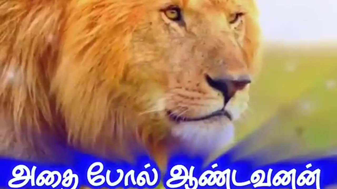 Thanmanam