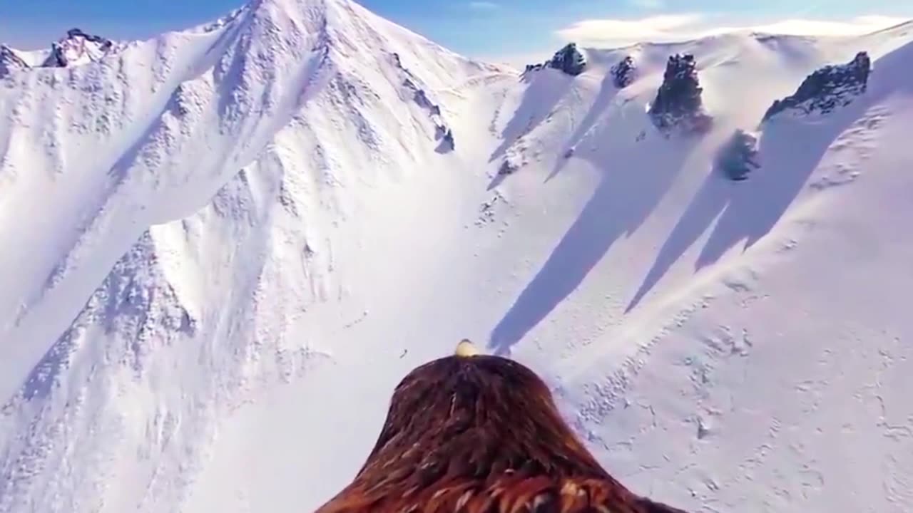 RUN AND HIDE, LITTLE MAN!!! —RUN AND HIDE!!!😎🇺🇸🦅🦅🦅