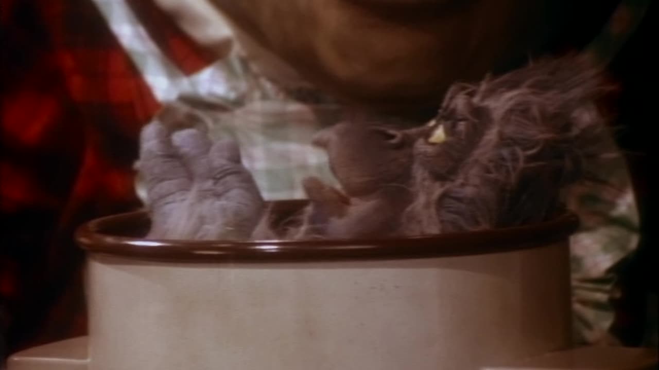 Dinosaurios - T1E02 - La Danza Del Cortejo