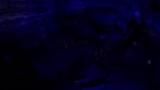 Natural Bridge Caverns dark to light, light show