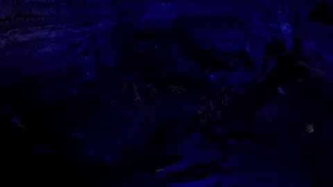 Natural Bridge Caverns dark to light, light show