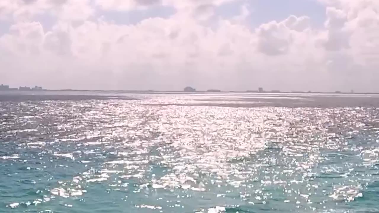✨🌊 Breathtaking Cancun View From Punta Sur! | FeedMyCuriosity