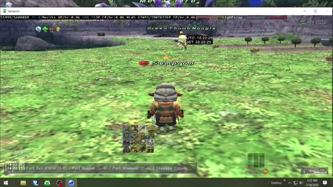 Playing Final Fantasy XI Online