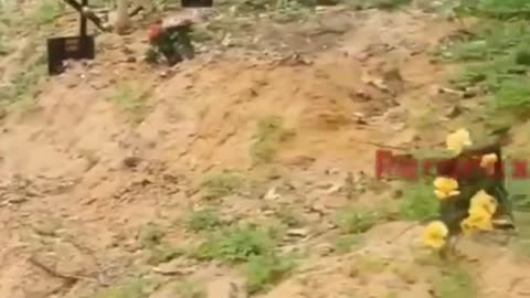 ⚰️🇷🇺 Ukraine Russia War | Burial Site Near Moscow for 'Heroes' of Special Military Operation | RCF