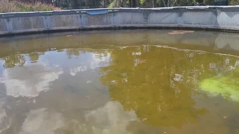 Water Solution