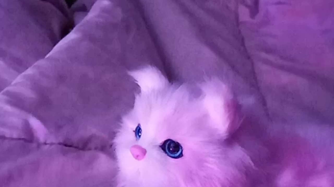 Conway's Master Plan.The White Kitten. #2