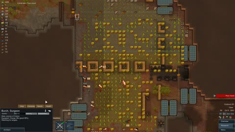 RimWorld v0.11.834 12 - No Commentary