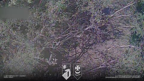 🇺🇦 Soldiers of the 1st Presidential Brigade "Bureviy" destroyed North Korean Type 75 MLRS.