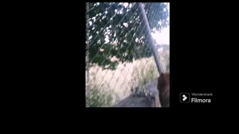 Momento en el que el jovenlandés ya se aleja y felicito a mi perro