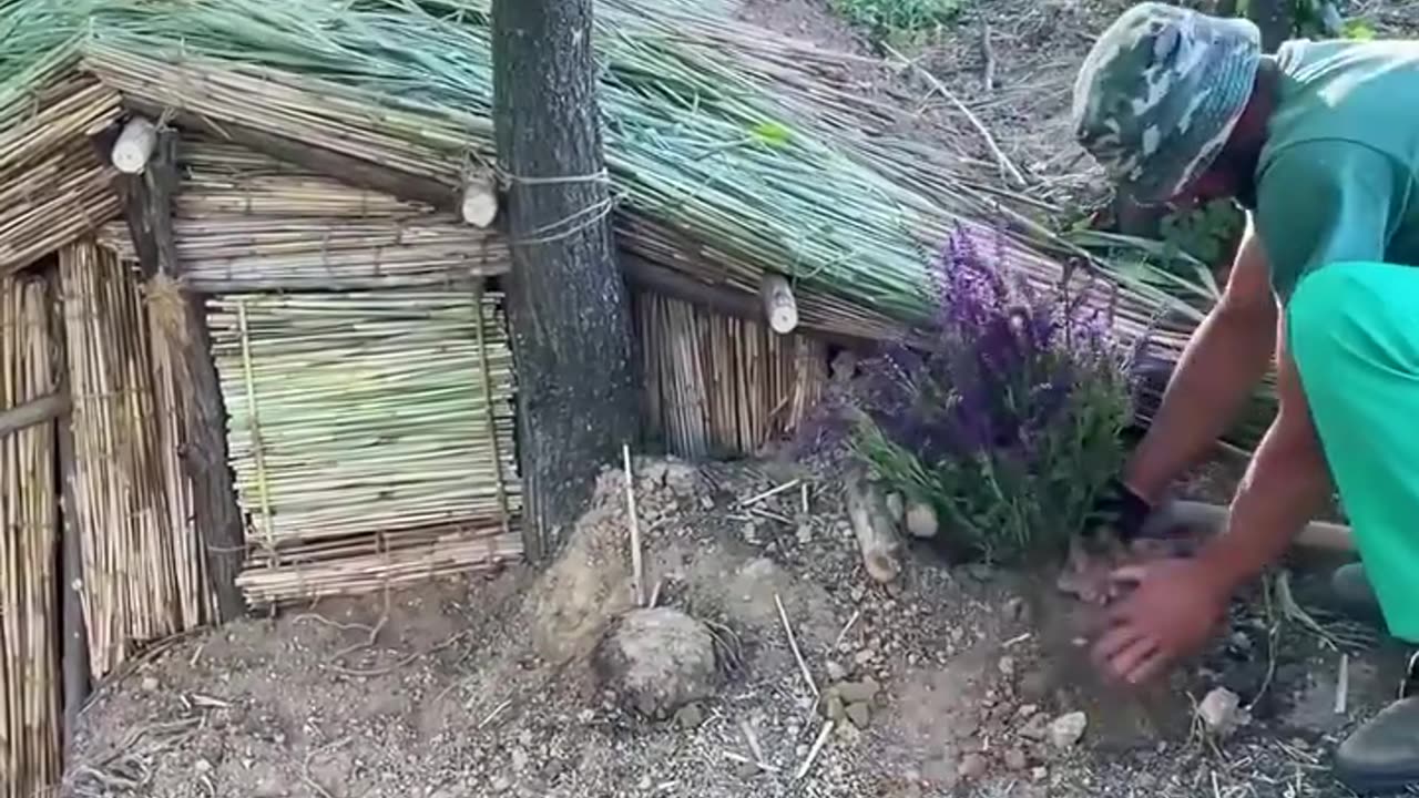 A man builds a hiding place in the forest with his own hands
