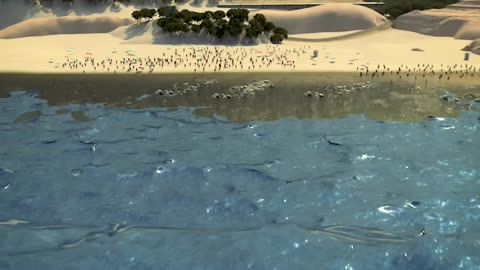 The Devastating 2004 Tsunami