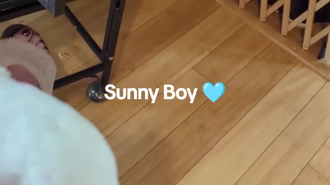 Getting Sunny Boy To Step-Up