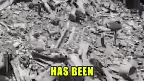 The Gaza Genocide Is A Holocaust, says Candace Owens