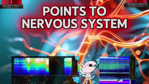 Current Schumann resonance 👁- how ya'll feeling? 👇🏽👇🏽