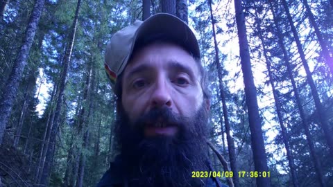 ANCORA MOLTISSIMA LEGNA DAL BOSCO (9 APRILE 2023) [IV° PARTE]