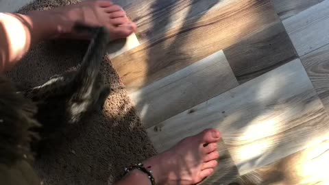 Mrs Sunshine as crazy cat lady🐈