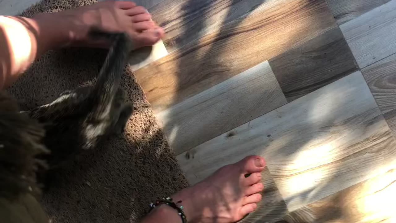 Mrs Sunshine as crazy cat lady🐈